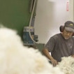 A man works on a machine.