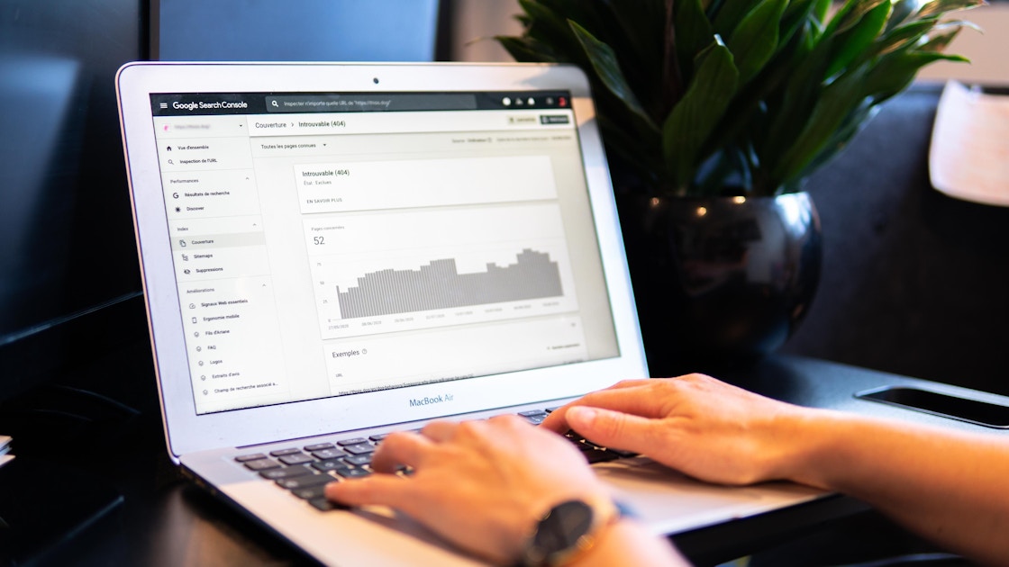 A person wearing a watch is on their laptop. There is a green plant next to the laptop.